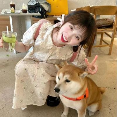 夹心蛋糕